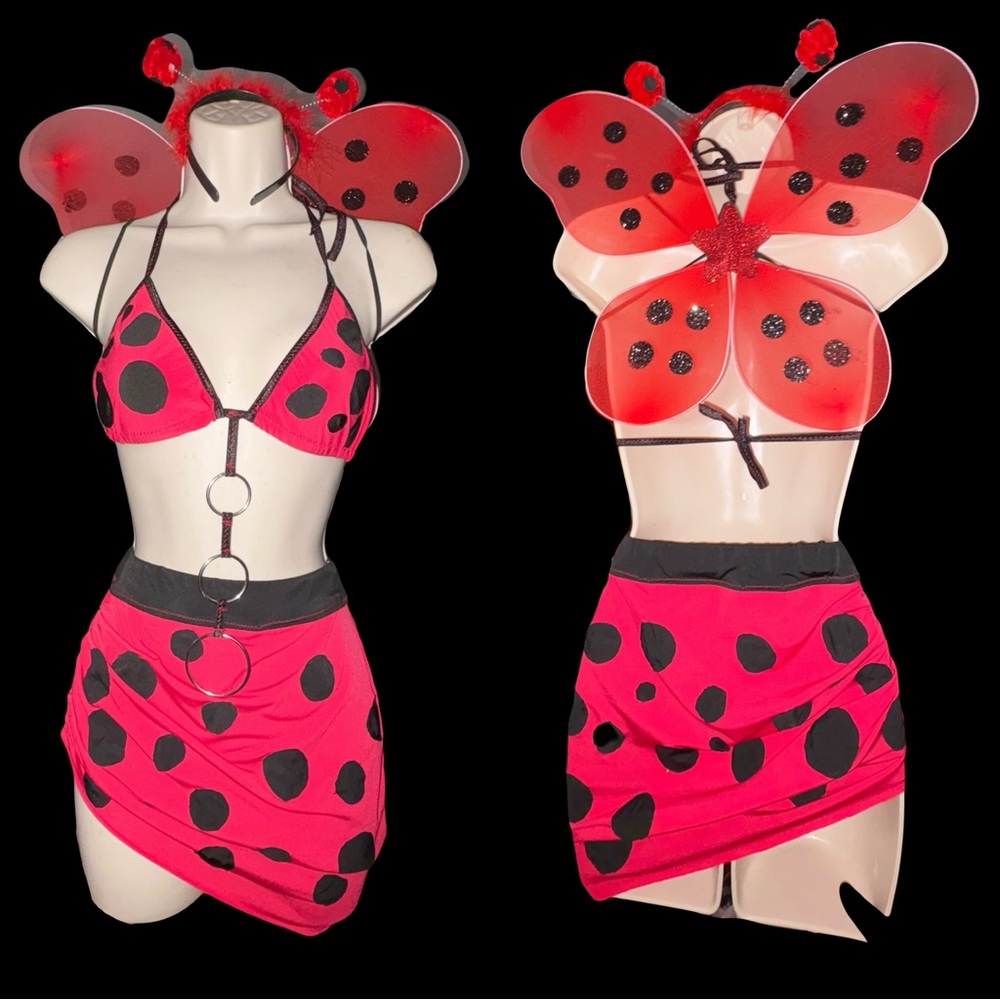 Red and Black Ladybug Costume Set